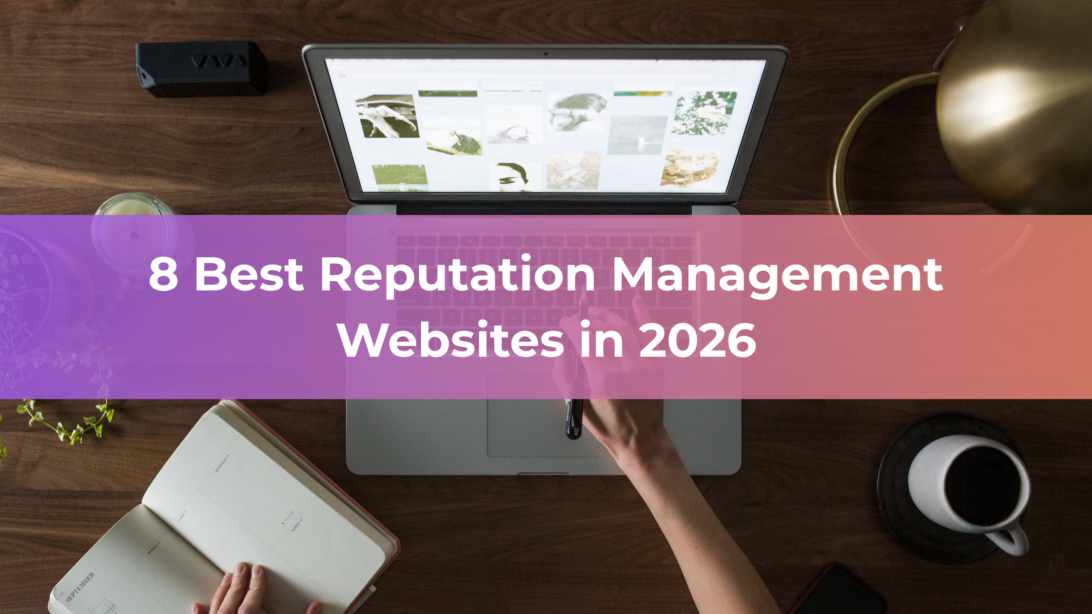 A person working at a desk with a laptop, notebook, and coffee—researching the best Reputation Management Websites. Text overlay reads: 8 Best Reputation Management Websites in 2026.